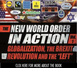 New World Order in Action book cover