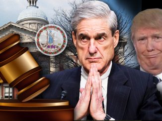Virginia Judges Mueller