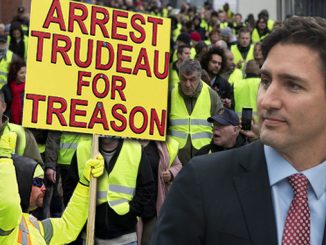 Yellow Vest Movement in Canada