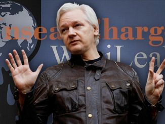 Julian Assange WikiLeaks Charges