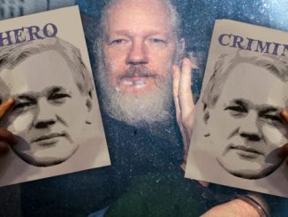 Julian Assange Arrest, Debate