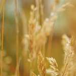 President’s Gaffes Could Propel Us into World War III