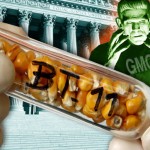 Supreme Test for Monsanto