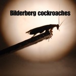 Periplaneta Bilderbergis, the Bilderberg Cockroach