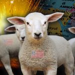 U.S. Soldiers Sacrificial Lambs