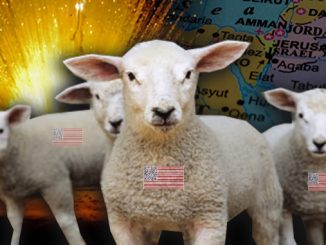 Sacrificial Lambs to Slaughter
