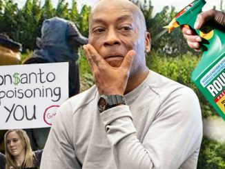 Monsanto Loses in Court