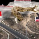 Discovery of Border Tunnels Has U.S. Rethinking ‘the Wall’