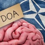 Is NATO Brain Dead?