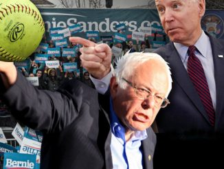 Bernie Softball