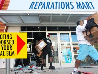 Looting as Reparations