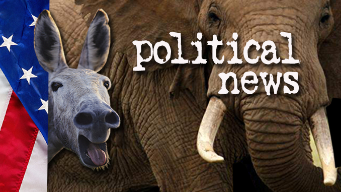 Politics articles banner