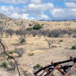 Standing Up for States’ Rights on U.S. Border