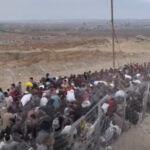 Issue 31&32 2025 News You May Have Missed