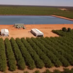 The Murder of American Farming